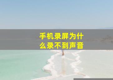 手机录屏为什么录不到声音