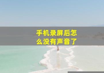 手机录屏后怎么没有声音了