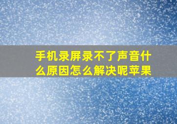 手机录屏录不了声音什么原因怎么解决呢苹果