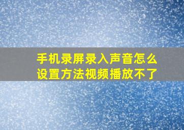 手机录屏录入声音怎么设置方法视频播放不了