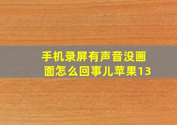 手机录屏有声音没画面怎么回事儿苹果13