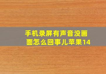 手机录屏有声音没画面怎么回事儿苹果14