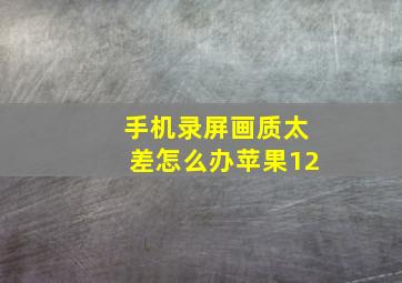 手机录屏画质太差怎么办苹果12