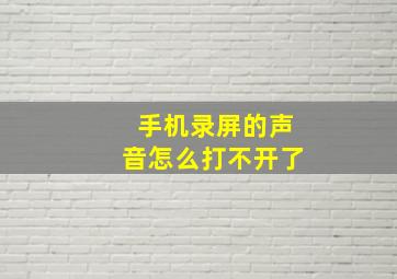 手机录屏的声音怎么打不开了