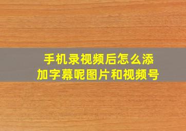 手机录视频后怎么添加字幕呢图片和视频号