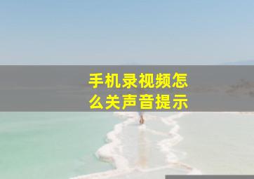 手机录视频怎么关声音提示