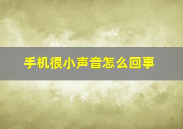 手机很小声音怎么回事