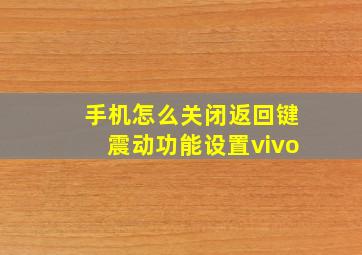 手机怎么关闭返回键震动功能设置vivo