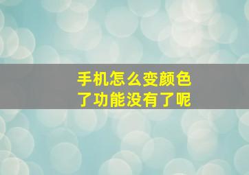 手机怎么变颜色了功能没有了呢