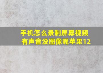 手机怎么录制屏幕视频有声音没图像呢苹果12