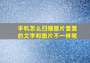 手机怎么扫描图片里面的文字和图片不一样呢