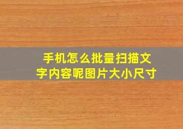 手机怎么批量扫描文字内容呢图片大小尺寸