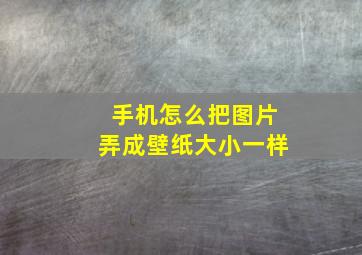 手机怎么把图片弄成壁纸大小一样