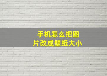 手机怎么把图片改成壁纸大小