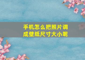 手机怎么把照片调成壁纸尺寸大小呢