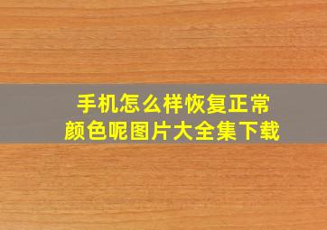 手机怎么样恢复正常颜色呢图片大全集下载