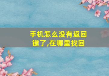 手机怎么没有返回键了,在哪里找回