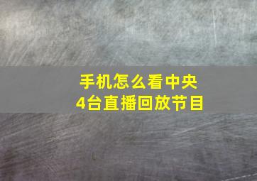 手机怎么看中央4台直播回放节目