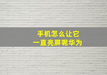 手机怎么让它一直亮屏呢华为