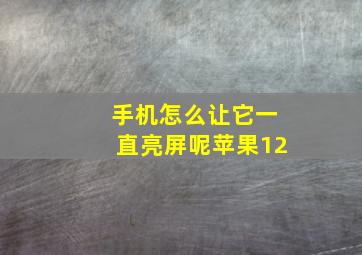 手机怎么让它一直亮屏呢苹果12