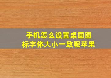 手机怎么设置桌面图标字体大小一致呢苹果