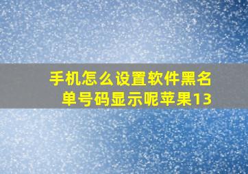 手机怎么设置软件黑名单号码显示呢苹果13