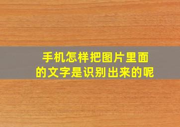 手机怎样把图片里面的文字是识别出来的呢