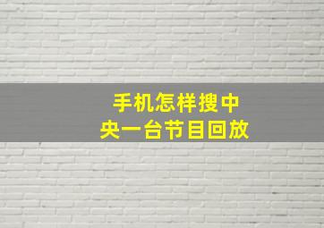 手机怎样搜中央一台节目回放