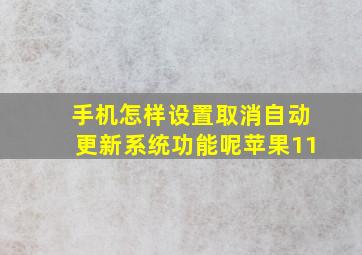 手机怎样设置取消自动更新系统功能呢苹果11