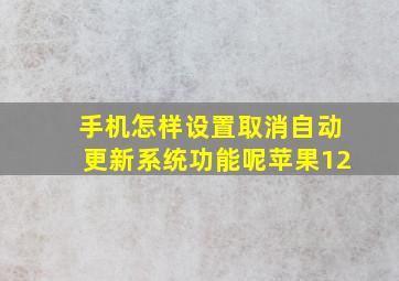 手机怎样设置取消自动更新系统功能呢苹果12