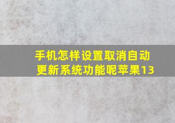 手机怎样设置取消自动更新系统功能呢苹果13