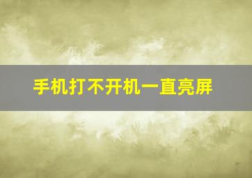 手机打不开机一直亮屏