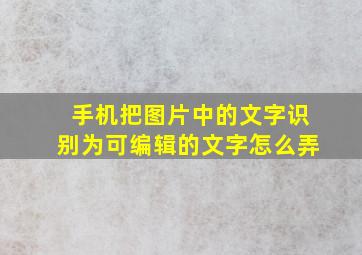 手机把图片中的文字识别为可编辑的文字怎么弄