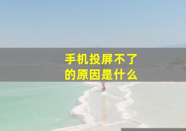 手机投屏不了的原因是什么