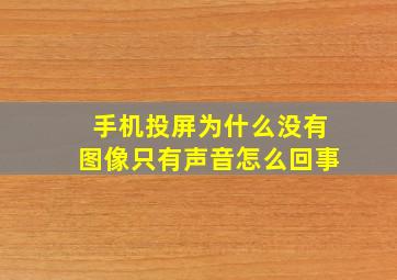 手机投屏为什么没有图像只有声音怎么回事