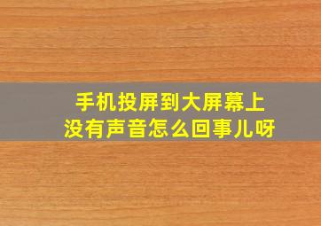 手机投屏到大屏幕上没有声音怎么回事儿呀