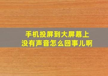 手机投屏到大屏幕上没有声音怎么回事儿啊