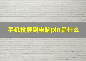 手机投屏到电脑pin是什么