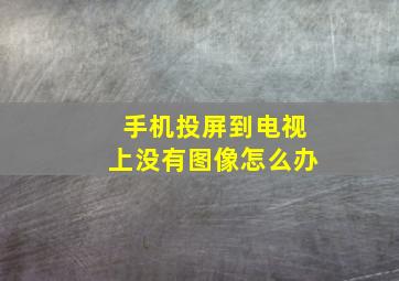 手机投屏到电视上没有图像怎么办