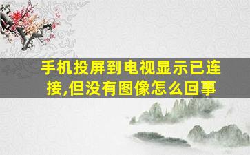 手机投屏到电视显示已连接,但没有图像怎么回事