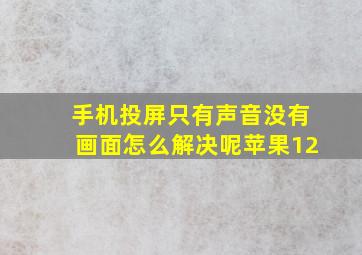 手机投屏只有声音没有画面怎么解决呢苹果12