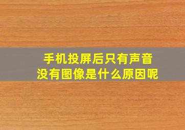 手机投屏后只有声音没有图像是什么原因呢