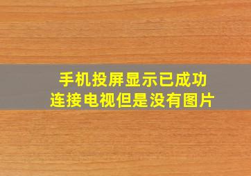 手机投屏显示已成功连接电视但是没有图片