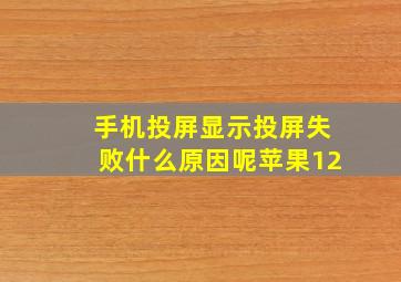 手机投屏显示投屏失败什么原因呢苹果12