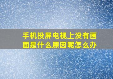 手机投屏电视上没有画面是什么原因呢怎么办