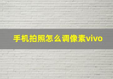 手机拍照怎么调像素vivo