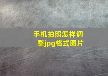 手机拍照怎样调整jpg格式图片