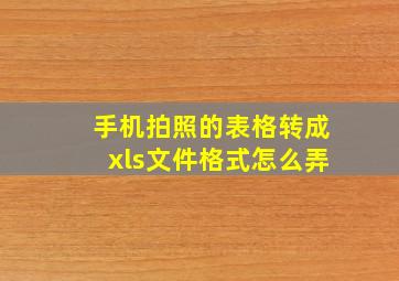 手机拍照的表格转成xls文件格式怎么弄