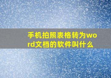 手机拍照表格转为word文档的软件叫什么