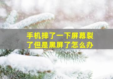 手机摔了一下屏幕裂了但是黑屏了怎么办